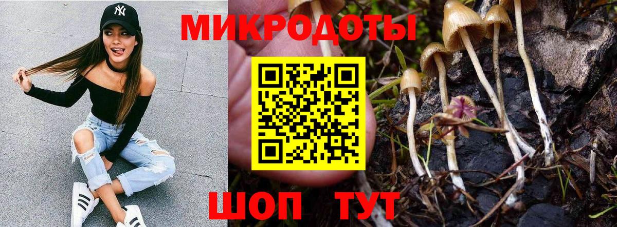 Псилоцибиновые грибы прущие грибы Королёв