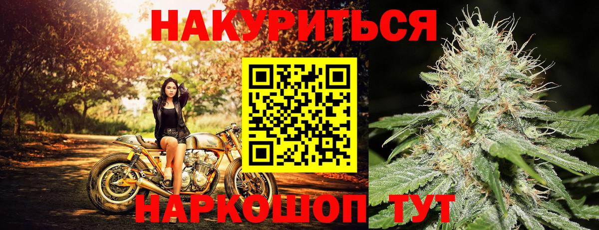 Бошки Шишки гибрид Королёв